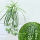 thumbnail image 2 of 1 ramo de simulación de gran tamaño Chlorophytum Comosumn planta pared decorar planta Artificial 60CM, 2 of 4