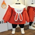 thumbnail image 2 of Gubotare Fleece Jacket Girl Baby Boy Winter Fleece Coat Toddler Girl Jacket Infant with Hood Outerwear Size 3T 4T,(Brick Red 3-4 Years), 2 of 5
