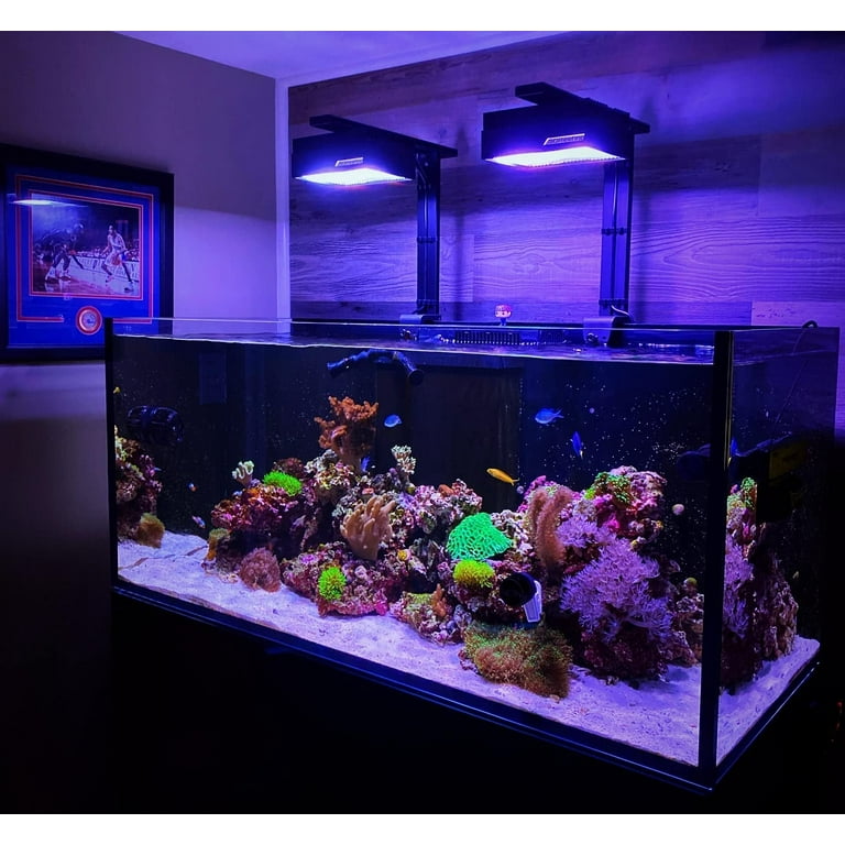 AI Hydra 26 HD and 32 HD Aquarium LED Light Shade and