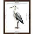 thumbnail image 5 of Art.com Sea Bird I Art Print by Grace Popp, Brown Frame Wall Art, 32" x 40", 5 of 5