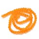 thumbnail image 2 of Transparent Glass Beads Strands Faceted Bicone Orange 2.9~3.3x2.5mm Hole: 0.7mm about 145~150pcs/strand 41.5~42cm, 2 of 4