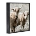 thumbnail image 2 of Stupell Industries Traditional Highland Cattle Pair Grazing Black Framed Giclee Art, 12 x 12, by Danita Delimont, 2 of 7