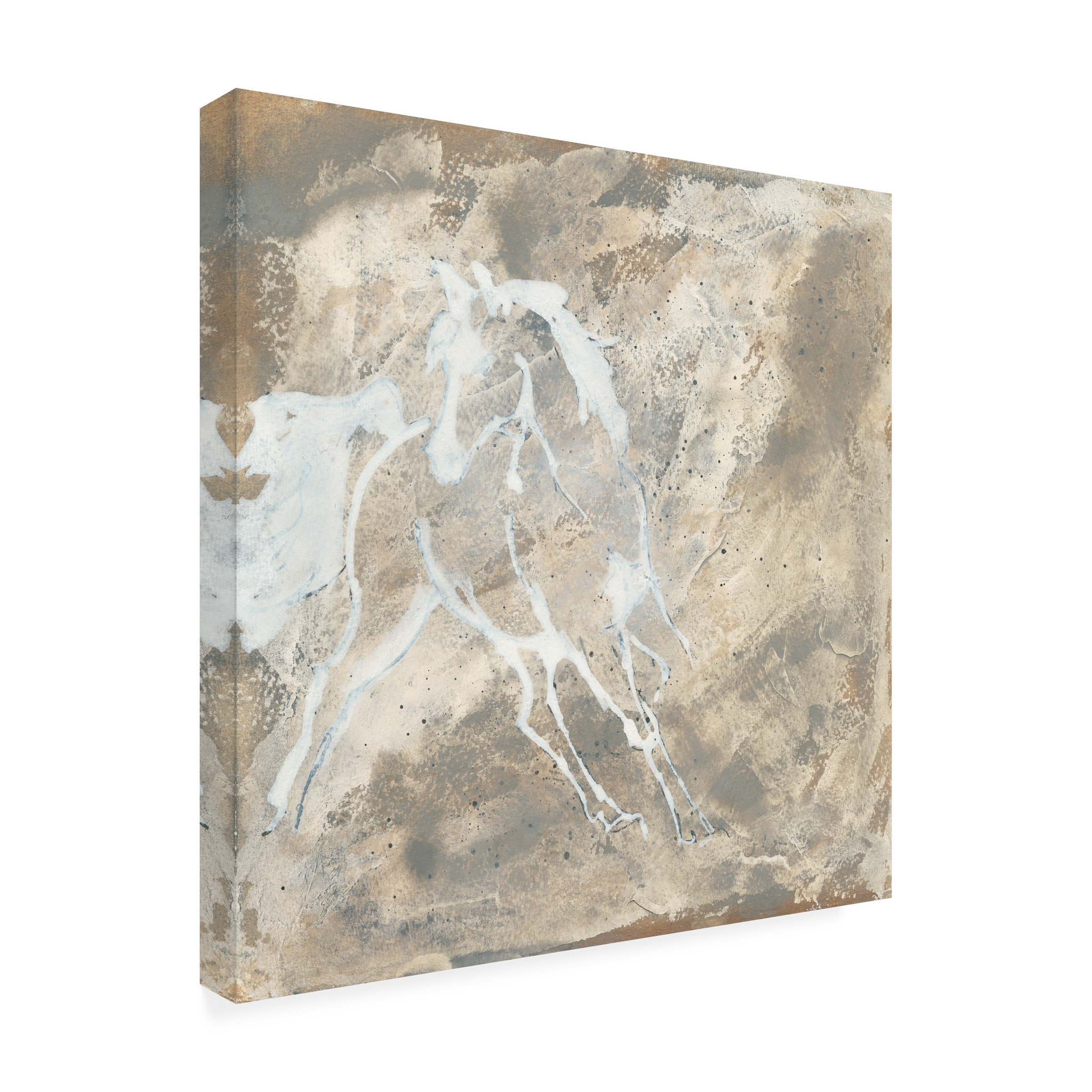 Trademark Fine Art 'White Horse I' Canvas Art by Chris Paschke