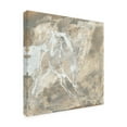 thumbnail image 4 of Trademark Fine Art 'White Horse I' Canvas Art by Chris Paschke, 4 of 4