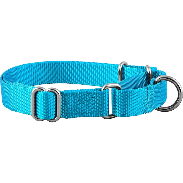 Martingale Dog Collar, Adjustable for Small, Medium, Large pet and