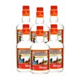 thumbnail image 1 of Pack De 6 Licor De Agave Rancho Escondido Tamarindo 1Lt, 1 of 2