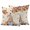 Beige, variant on Outdoor Pillow Covers 26x26 Set of 2, Pumpkin Gnomes Fall Waterproof Patio Throw Pillow Covers for Couch Sofa Chair, Thanksgiving Botanical Maple Leaves Decorative Pillowcases for Throw Pillows