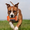 thumbnail image 4 of Toy Bone Nerf Dog TPR EXO Squeak 18 cm azul/naranja, 4 of 4