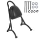 thumbnail image 2 of Respaldo para motocicleta, juego de respaldo para pasajero de motocicleta, tornillo, tuerca y junta, accesorio para motocicleta, juego de respaldo para pasajero de motocicleta ultra sensible, 2 of 9