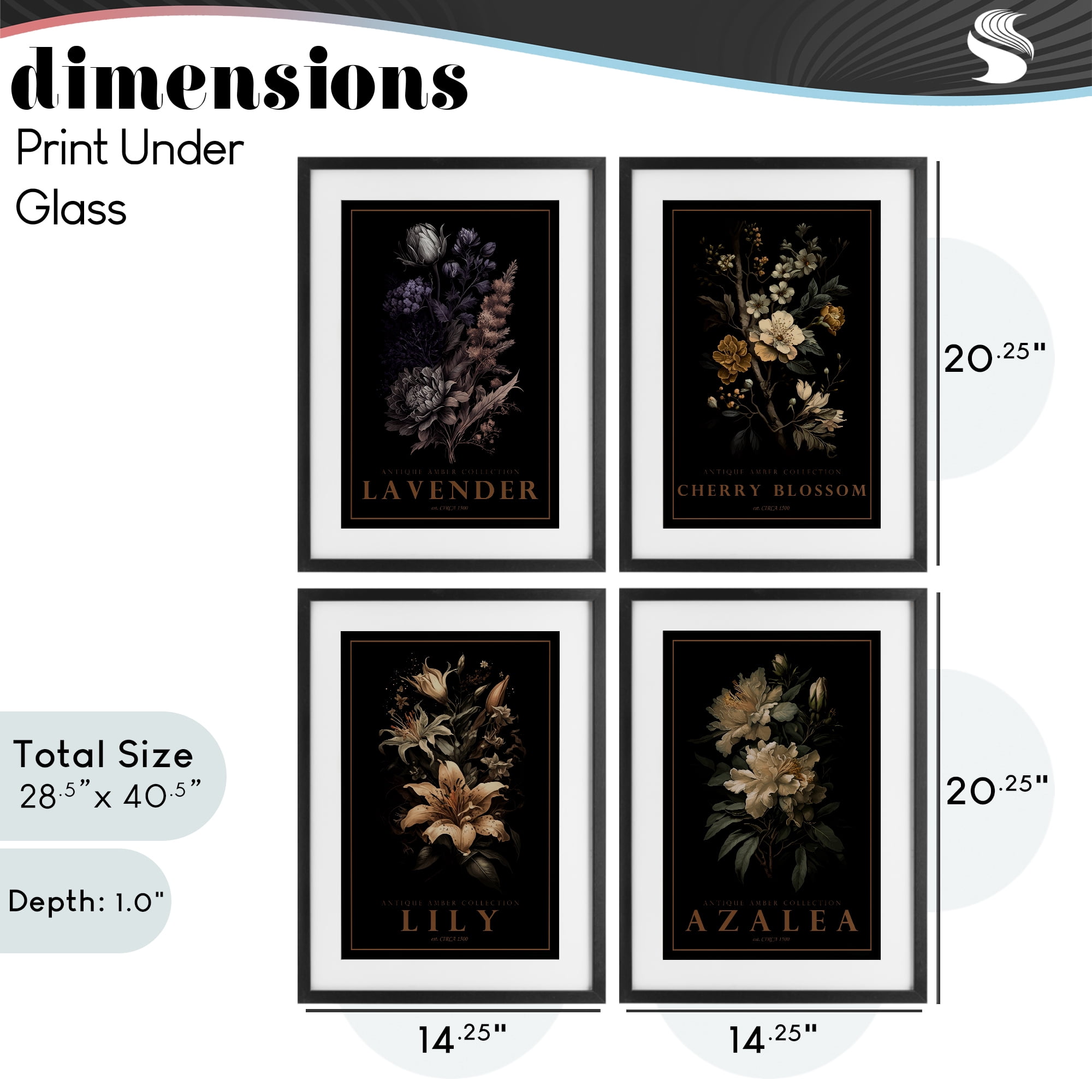 Stupell Industries Antique Varied Botanical Blooms 4 Piece Black Framed Print Under Glass Set, design by Chris Giampietro
