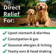 thumbnail image 5 of BARK&SPARK Probiotics Chews for Dogs & Digestive Enzymes + Digestion & Gut Health Treats, Probiotics for dogs, Fiber Supplement, Anti Diarrhea, Constipation, Upset Stomach&Gas Relief, 5 of 9