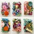 thumbnail image 3 of Real Dried Flowers Plants Pressed For Resin Jewellery Making Craft DIY Accessory, 3 of 8