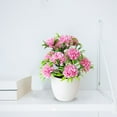 thumbnail image 3 of 12 Headed Chrysanthemum Potted Green Floral Arrangement Desktop For Home Centerpiece Wedding Details Fall Flowers Outdoor Flower Arrangements in Vase Wall Flowers Bouquet Holder for Flowers Winter, 3 of 5