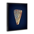 thumbnail image 3 of Stupell Industries Contemporary Cone Shell on Blue Black Floating Frame Canvas Art, 17 x 21, by Graffitee Studios, 3 of 8