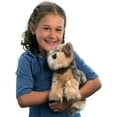 thumbnail image 2 of Douglas Yettie Yorkie, 2 of 5