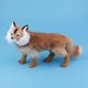 thumbnail image 5 of Simulación Lowrie Model Dolls Plush toy for kids Decoración del árbol de Navidad Macarena Simulation White Lowrie Toy, 5 of 8
