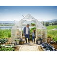 thumbnail image 5 of Palram - Canopia Balance 10' x 28' Polycarbonate/Aluminum Walk-In Greenhouse - Silver - with Roof Vents, 5 of 11