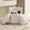 White, variant on Hanyu Velvet Swivel Round Storage Ottoman with Pillows, Black