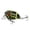 A, variant on Fishing Bait Topwater Popper Lifelike Lures Bass Crankbait Wobbler Hot, Fishing Lure for Bass Catfish Pike Perch