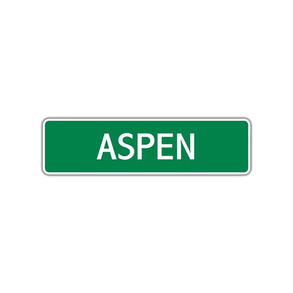 Aspen Girls Owen Boys Letter Printed Label Indoor Outdoor Wall Plaque Decoration Children Name Aluminum Metal Sign 4"x13.5"