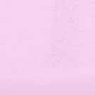 Ballerina Pink/Candy Pink