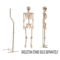 thumbnail image 4 of Crazy Bonez Pose-N-Stay Skeleton, 4 of 4