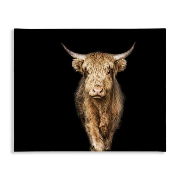 Stupell Industries Farmhouse Modern Cattle Portrait Minimal Farm Animal Photography Canvas Art, 30 x 24, by Marika Moffit