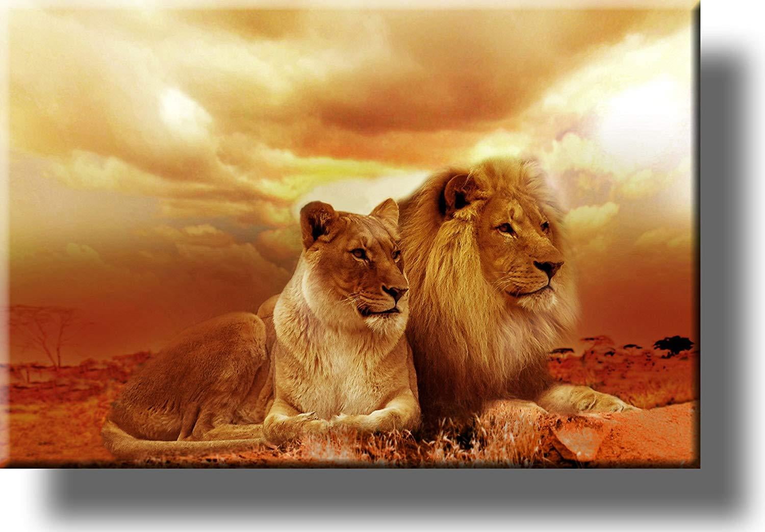 Lion and Lioness Picture on Stretched Canvas Wall Art Décor, Ready to