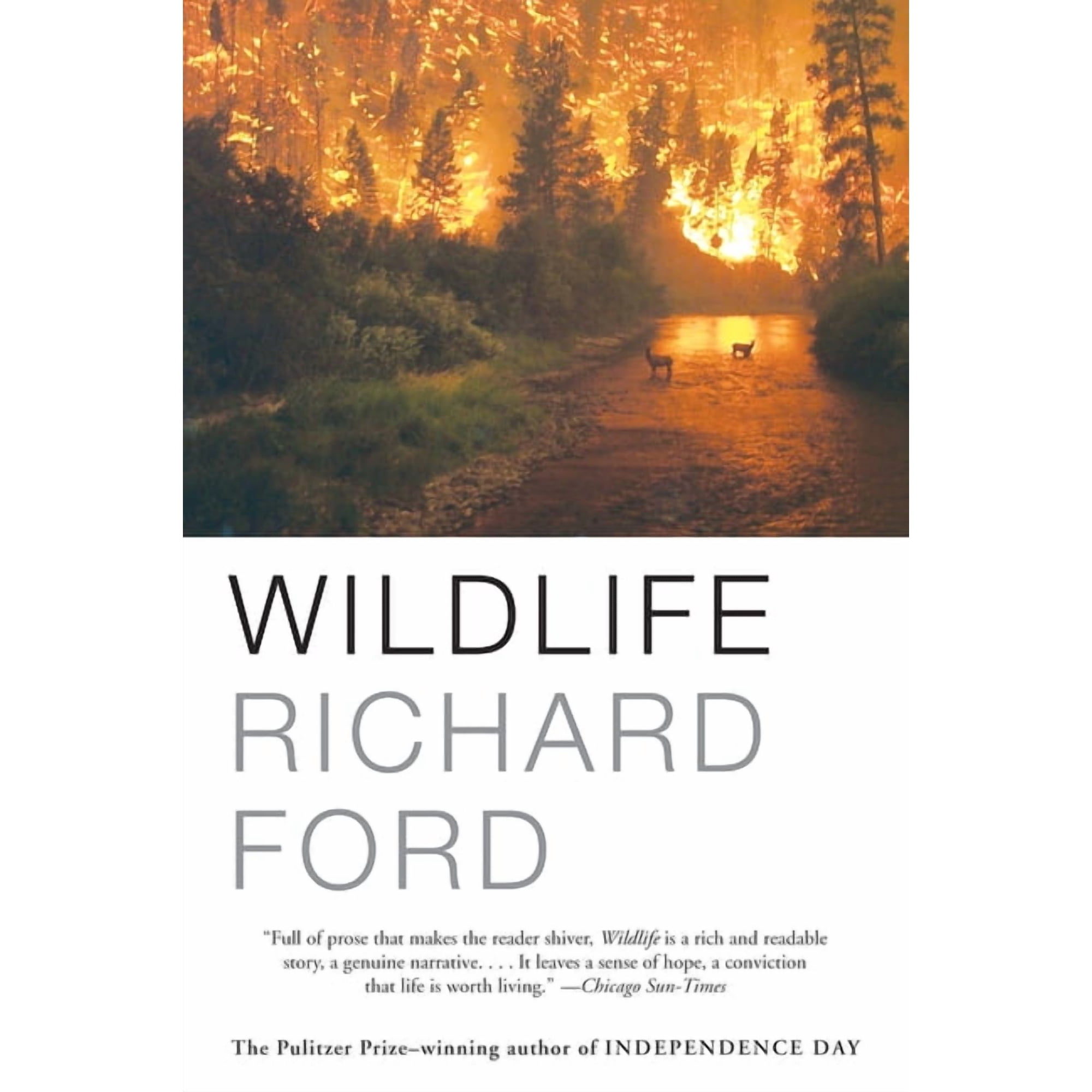 Wildlife (Paperback)