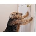 thumbnail image 4 of Heavy Duty Scratch Shield for Walls, Frames & Doors, Durable Protection Solution, 4 of 5