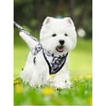 thumbnail image 3 of Pet Daily Kit Camouflage Pet Harness Vest Leash Collar Set for Small Dogs, Cats Grey M, 3 of 9