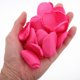thumbnail image 5 of unbranded 200Ud Quemados De Seda Para En Bodas Y Eventos Especiales, 5 of 6