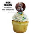 thumbnail image 3 of Batman Arkham Asylum Video Game Harley Quinn Cupcake Picks Toppers Decoration Set of 6, 3 of 7