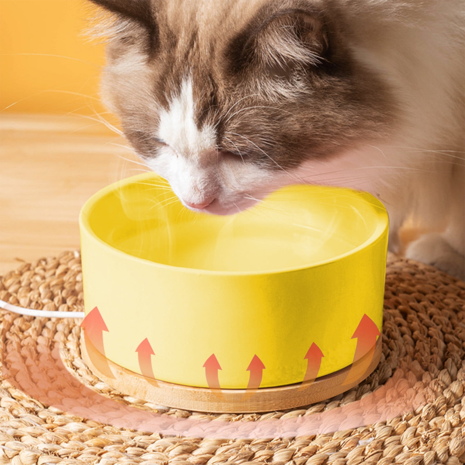 Thermostatic Water Dispenser Ceramic Pet Water Bowl with USB Heating Is Perfectly for Winter Use