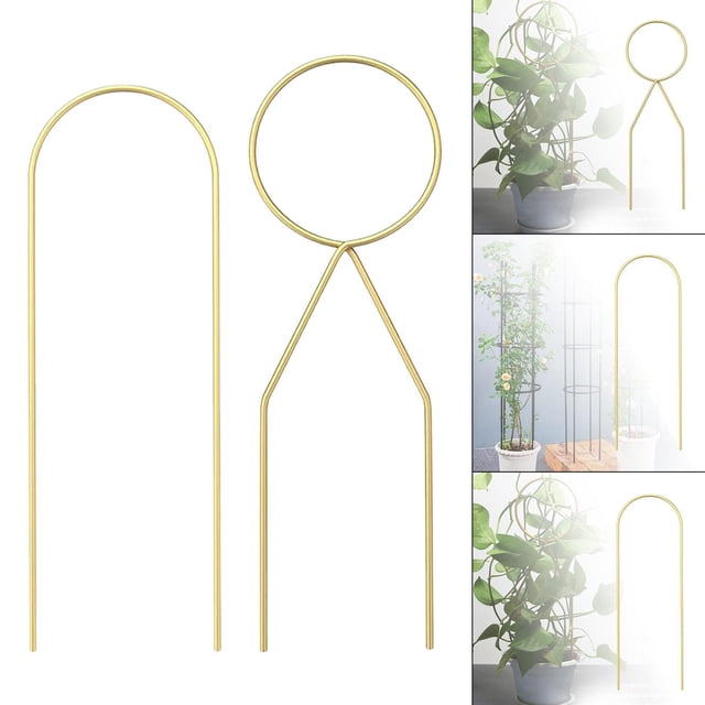 2x Soporte Soporte de Estaca de Soporte Resistente para Patio Interior Al Aire Libre shamjiam enrejado trepador de flores