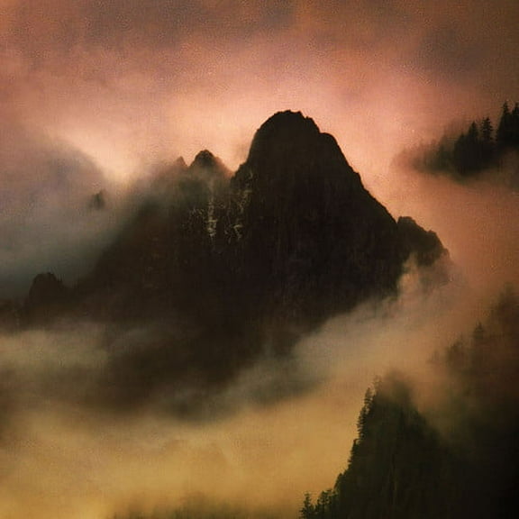 Dead to a Dying World - Elegy - Rock - Vinyl