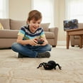 thumbnail image 2 of Electric Remote Control Climbing Spider – Simulated Crawling Action, Easy to Control for Indoor & Outdoor, 2 of 10