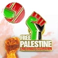 thumbnail image 2 of 2pcs Palestine Badge Flag Pin Enamel Palestinian PLO Gaza West Bank, 2 of 2
