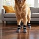 thumbnail image 4 of WEUVEB 4Ud Botines Cómodos Para Perro Con Material Transpirable Y Suela De Agarre Para De Madera, 4 of 8