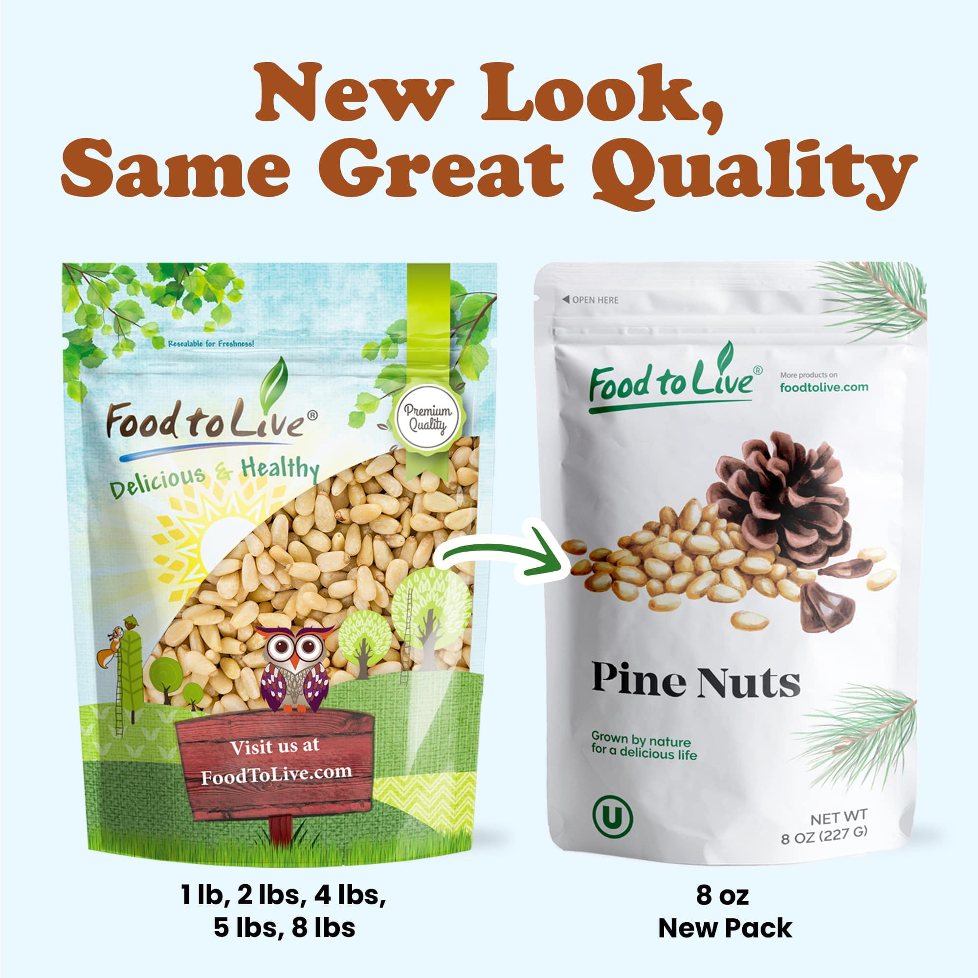 Food to Live Whole Pine Nuts, 8 Pounds, Non-GMO Verified, Raw Pignolias