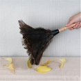 thumbnail image 2 of Feather Duster Ostrich Feather Ostrich Feather Duster Natural, 2 of 4