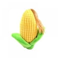 thumbnail image 1 of POINTERTECK Pet Toys Corn Cactus Bite Resistant With BB Sound for Dog Chew, 1 of 4