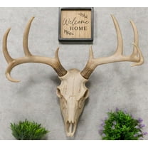 Ebros 18."L 10 Point Buck Head Wall Mount Resin Stag Deer Skull Antler Sculpture