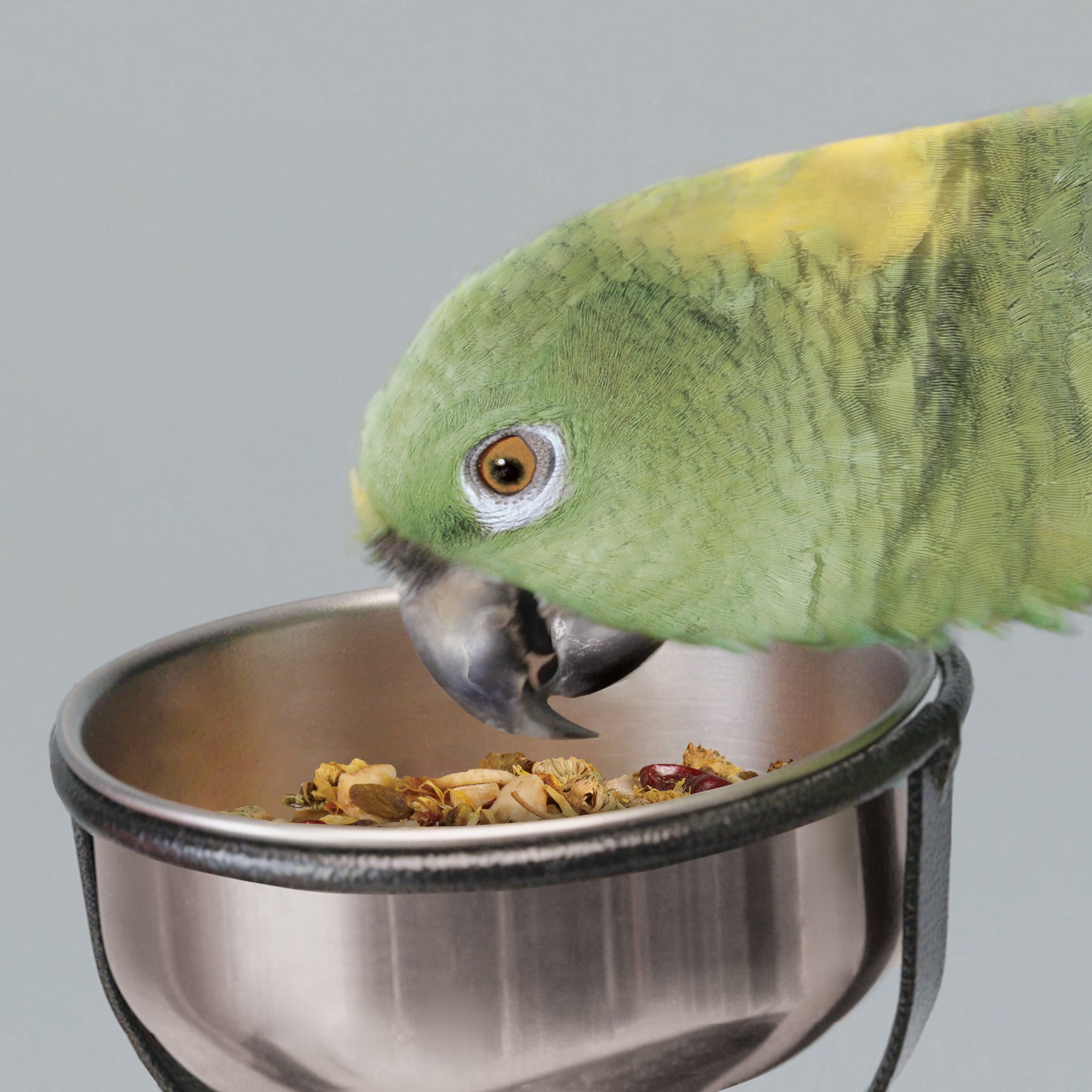 (3 pack) Kaytee Forti-Diet Natural Pet Bird Treat Snack Medium/Large 3 oz.