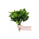 thumbnail image 1 of 6pcs Adornos Decoración Hogar De Plantas Artificiales Green1 hoja verde, 1 of 5