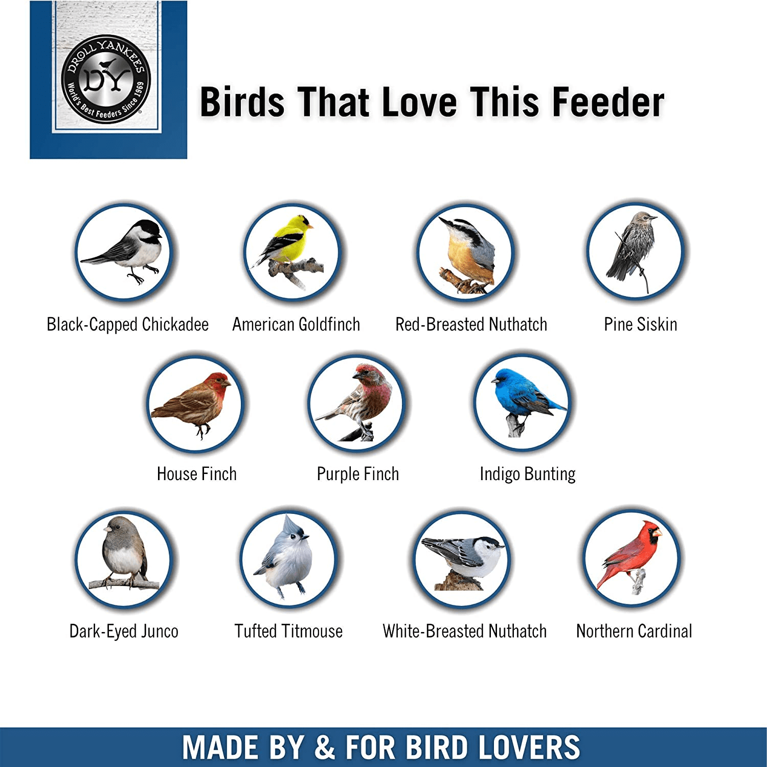 Droll Yankees Whipper Squirrel Proof Bird Feeder with Collapsible Perches 5 Lb S