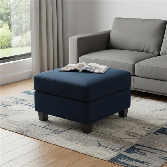 HomeRoots 714334 25 in. Blue & Black Velvet Storage Ottoman