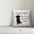 thumbnail image 3 of Creative Products Caution Snuggly Dog 18x18 Spun Poly Pillow, 3 of 3