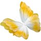 thumbnail image 1 of wonima44 2025 New Silk Yarn Artificial Butterfly Decoration, Giant Gauze Fake Butterfly Mesh Photography Props Mariage Decor for Wedding, Outdoor, Bedroom, Parties, Champagne Gradient, 1 of 1