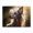500 Pieces, variant on 1000-Piece Wooden Jigsaw Puzzle for Adults - Portrait Side View Furry , Fun & Relaxing Family Game, No-Dust Interlocking Pieces, Perfect Wall Decor & Holiday Gift